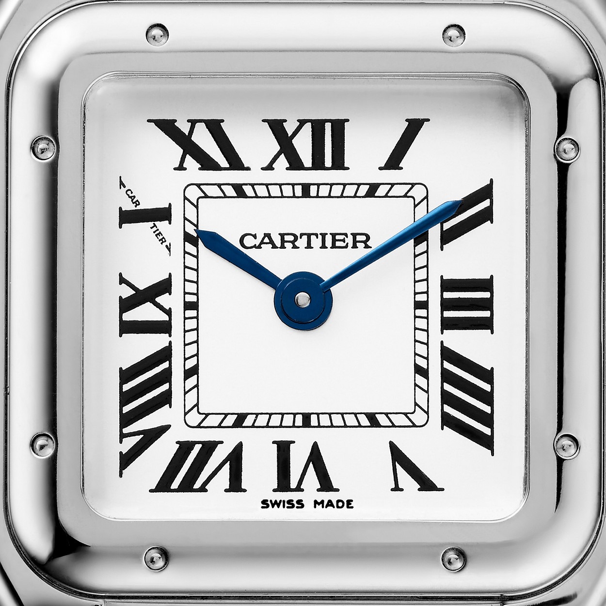 Cartier Panthere Argente 22Mm vue 2