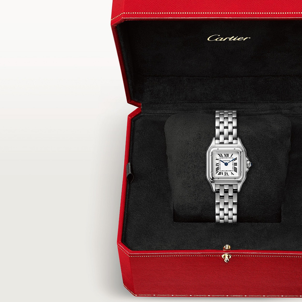 Cartier Panthere Argente 22Mm vue 4