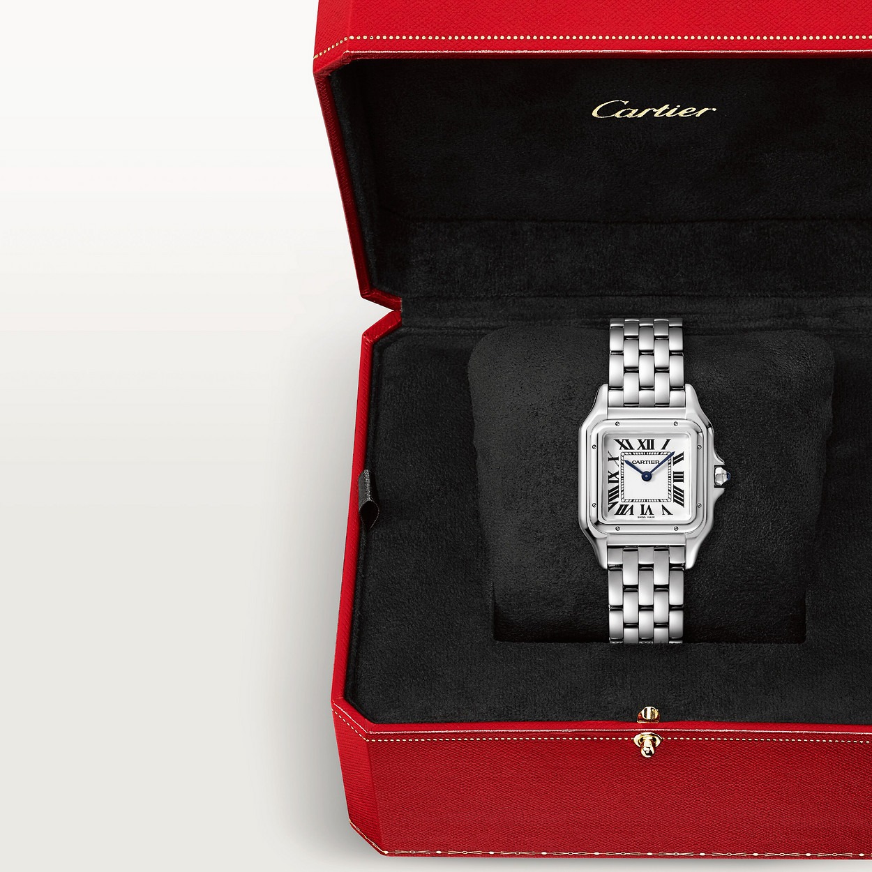 Cartier Panthere Argente 27Mm vue 8