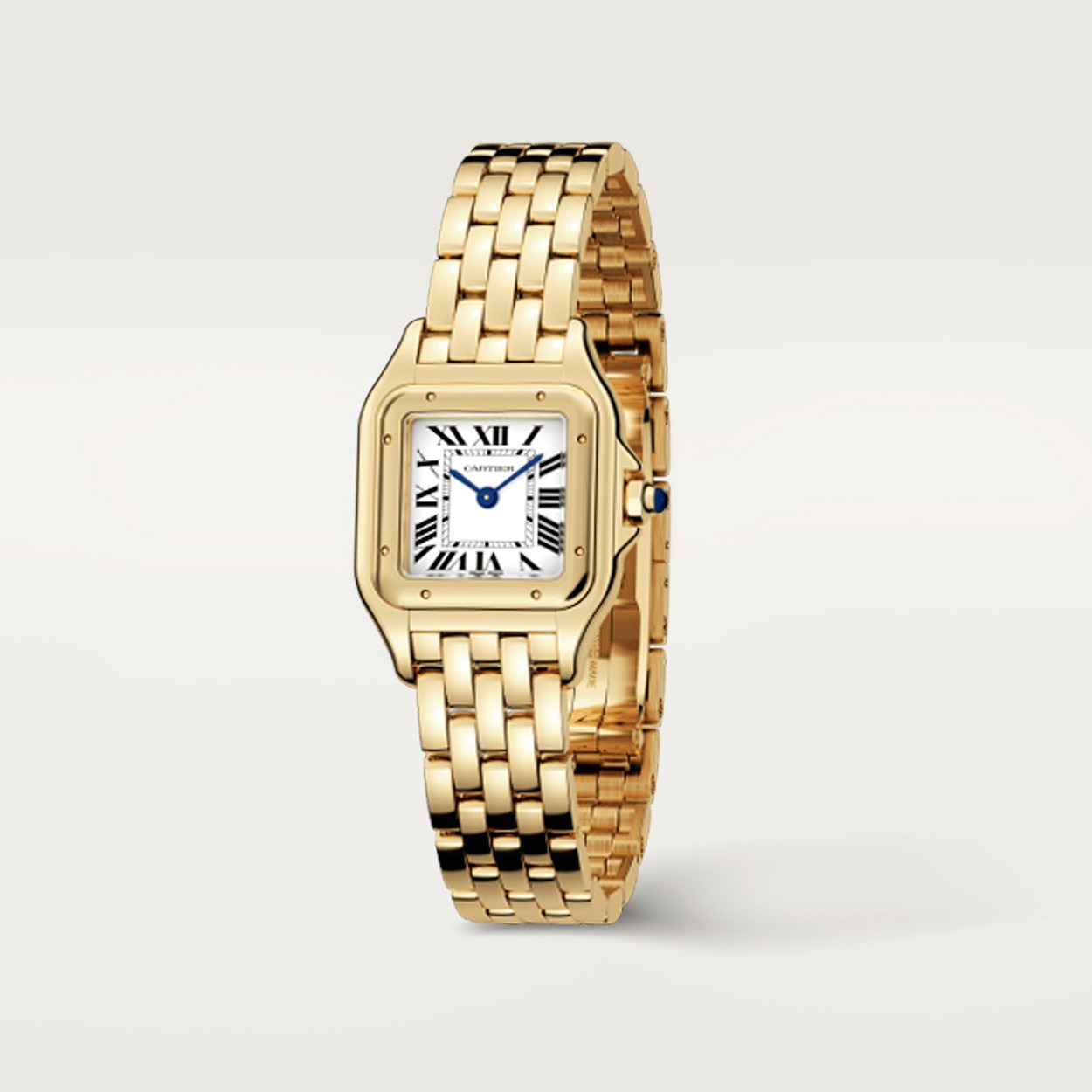 Cartier Panthere Jaune 22Mm vue 2