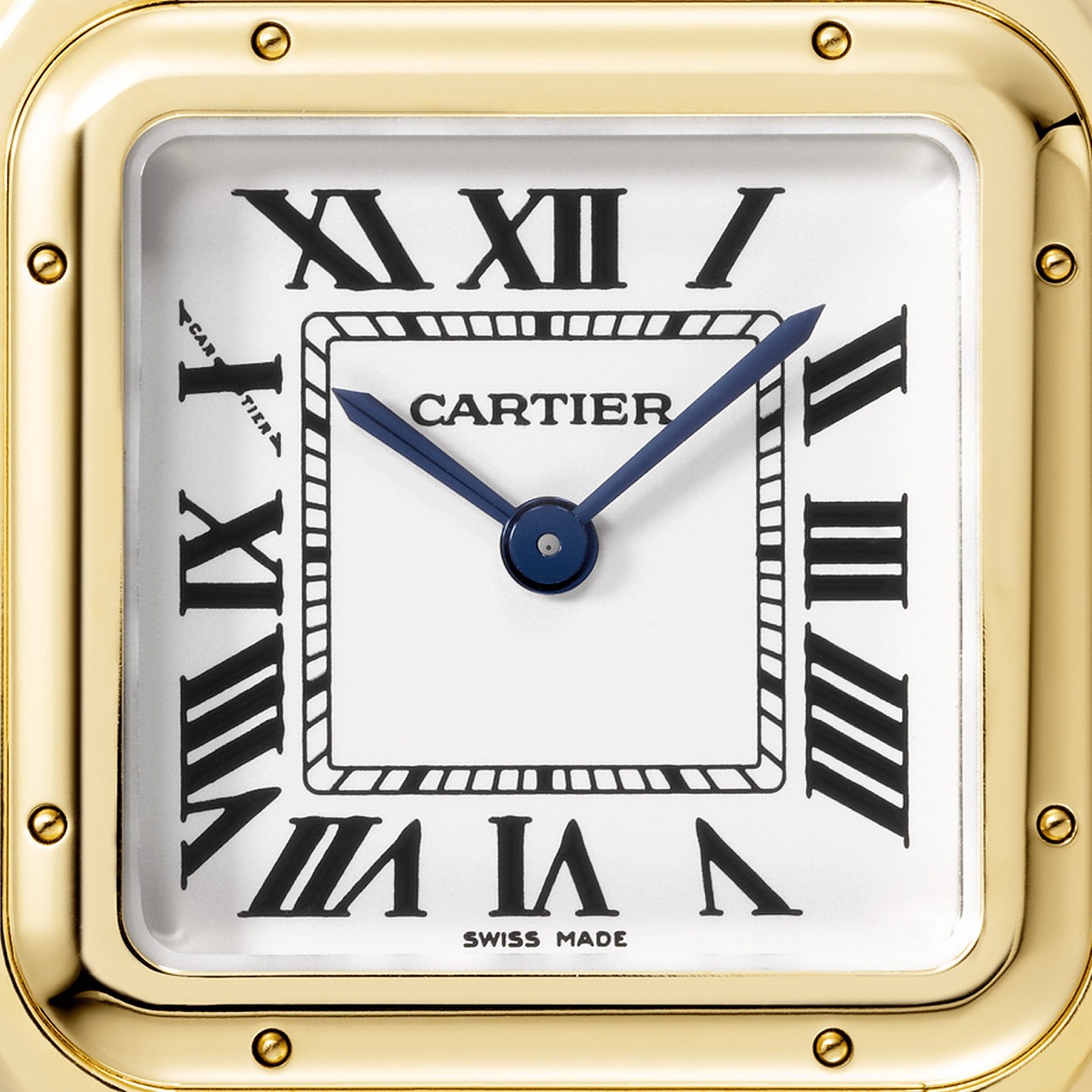 Cartier Panthere Jaune 22Mm vue 3