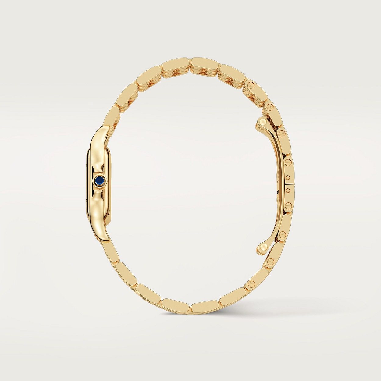 Cartier Panthere Jaune 22Mm vue 8