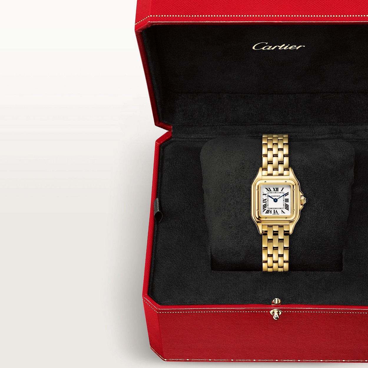 Cartier Panthere Jaune 22Mm vue 9