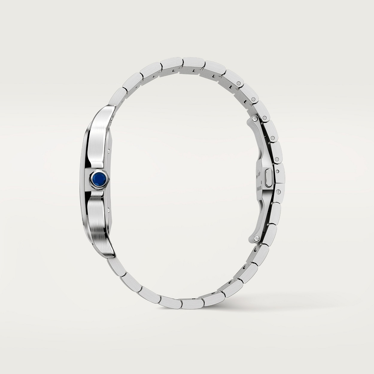 Cartier Santos Argente 40Mm vue 5