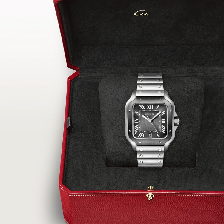 Cartier Santos Gris Noir 40Mm vue 3
