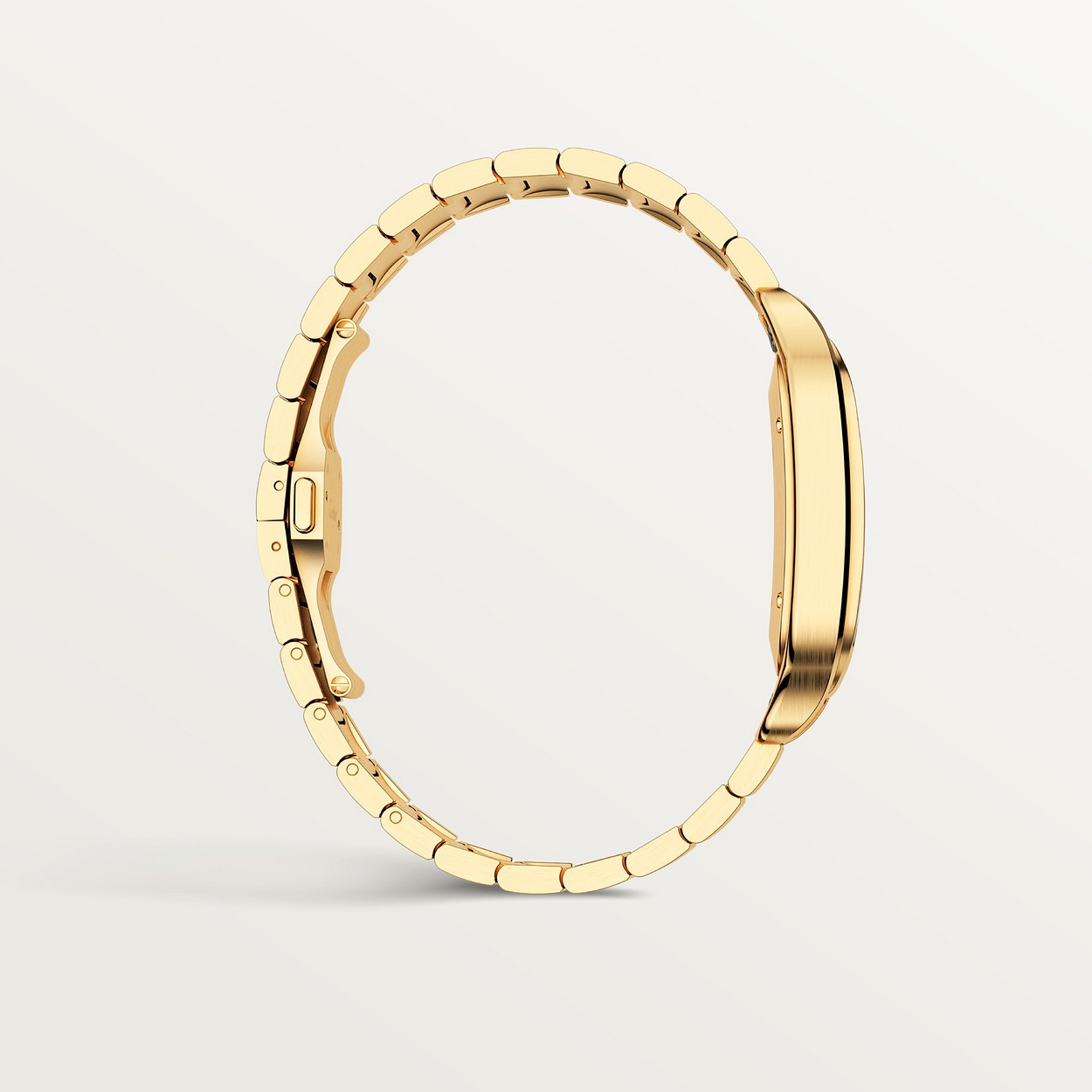 Cartier Santos Jaune 36Mm vue 5