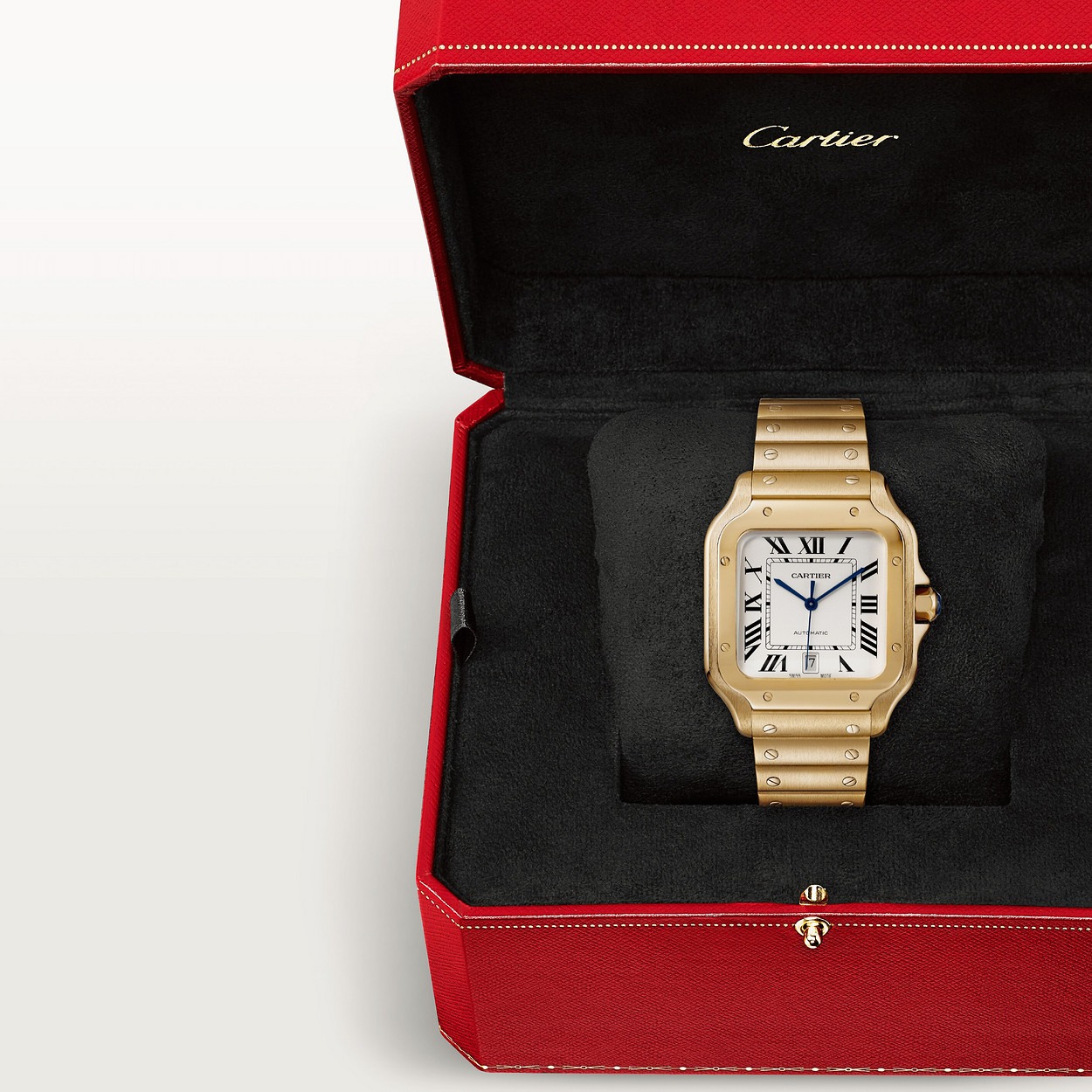 Cartier Santos Jaune 36Mm vue 6