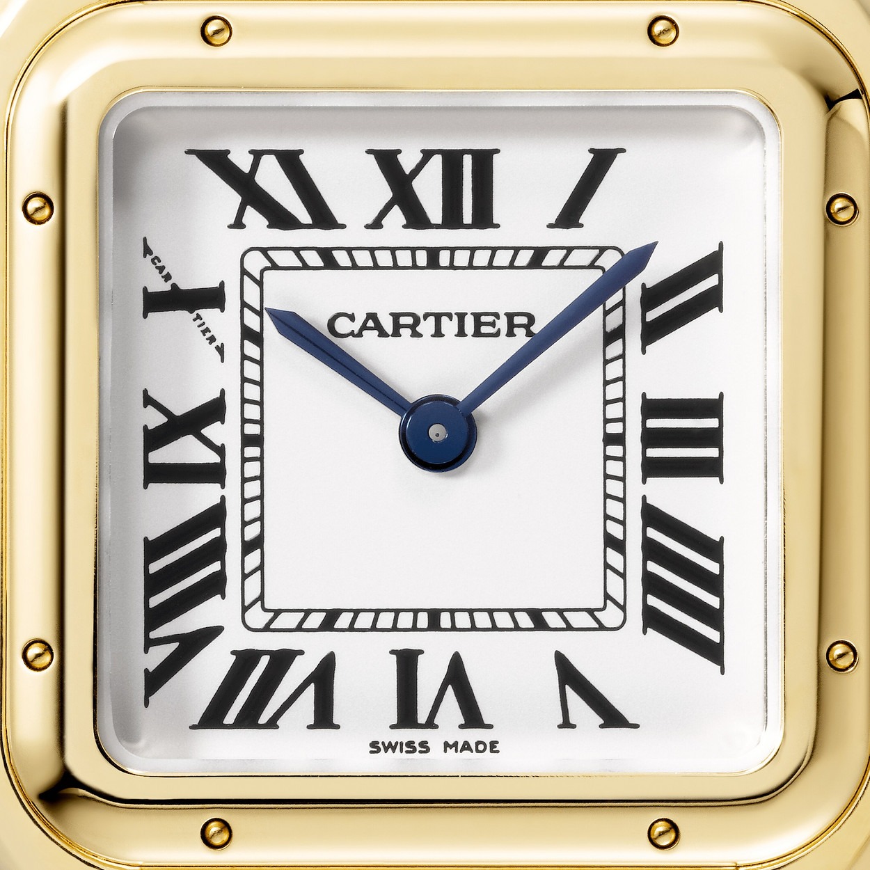 Panthere Jaune 27Mm vue 3