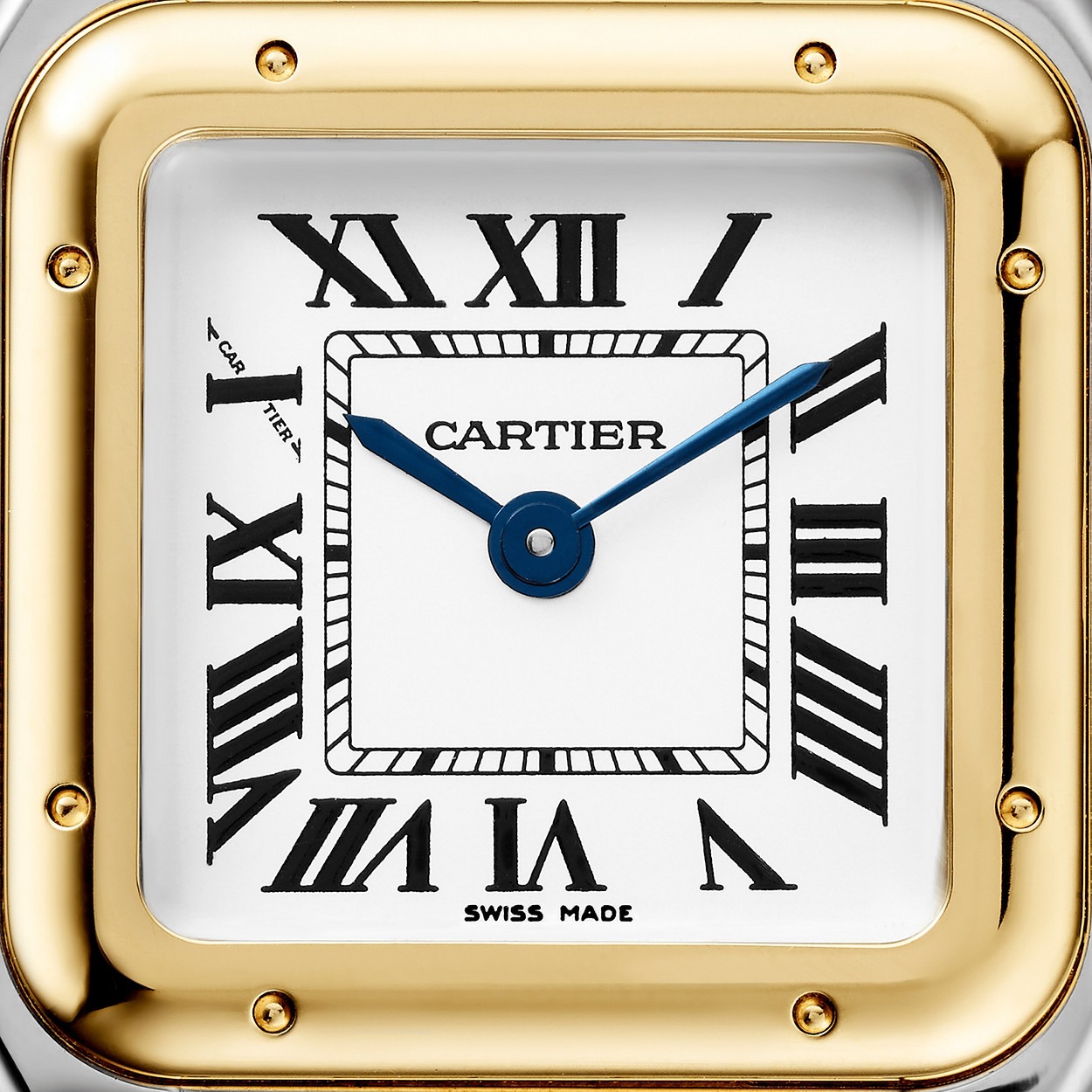 Panthere Jaune Gris 22Mm vue 2
