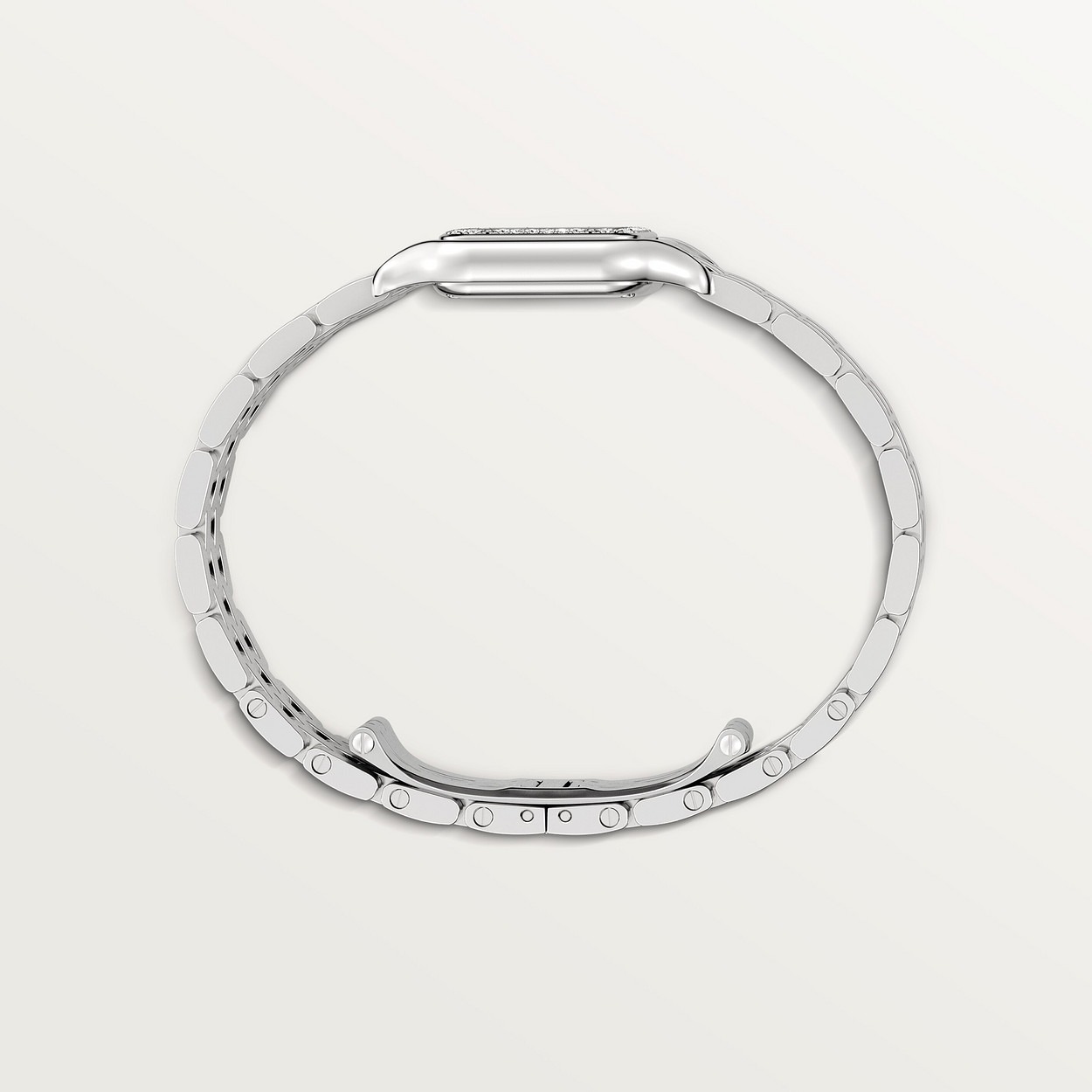 Panthere Sertie Argente 22Mm vue 6