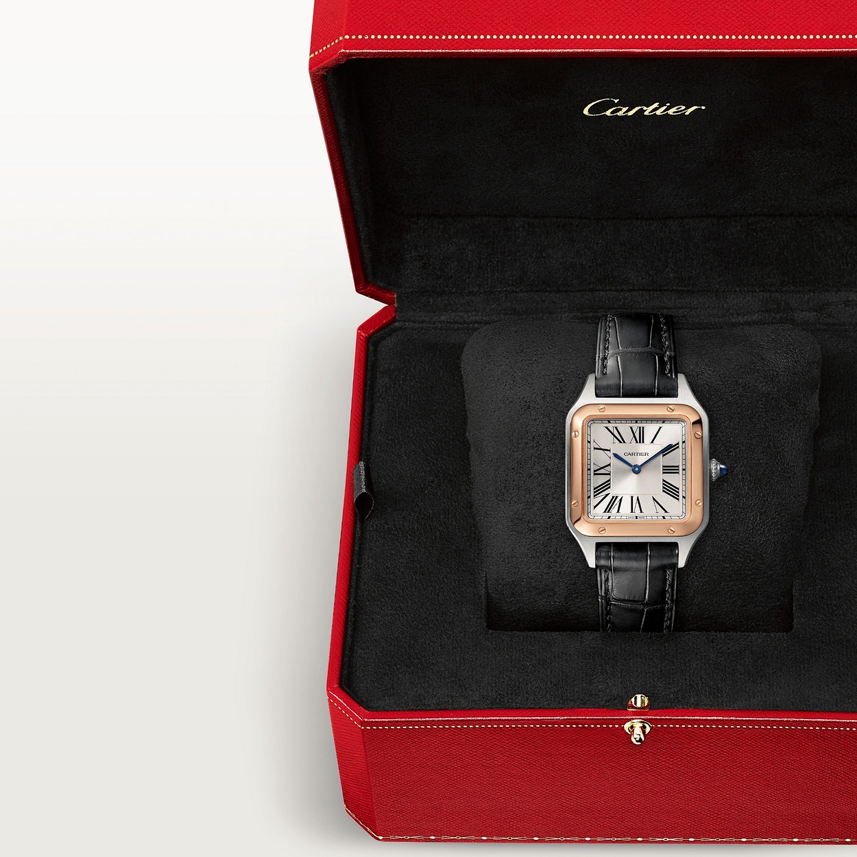 Santos Dumont Gris Rose Petit Modele vue 6