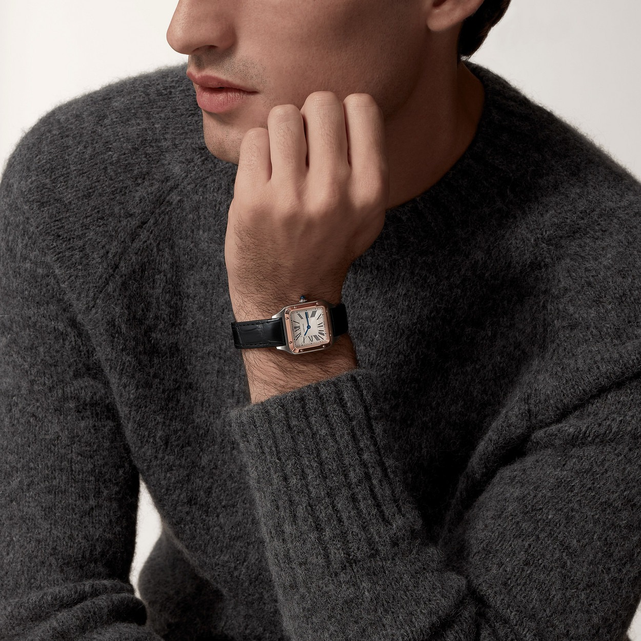 Santos Dumont Gris Rose Petit Modele vue 7